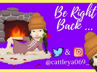 Webcam Snapshot for ▓▒░░ ❀✿❁Cattleya❁✿❀, you can tell me Leya too. ◕ ‿‿ ◕ ░░▒▓