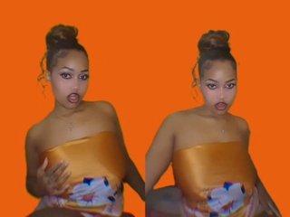 Webcam Snapshot for Curvycharm