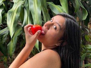 Webcam Snapshot for EVA2026