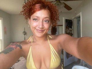 Webcam Snapshot for MollyPocket