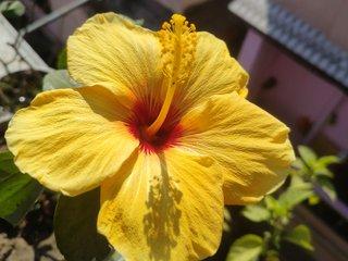 Webcam Snapshot for IndianBhabhiJi