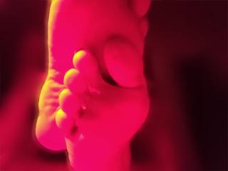 Webcam Snapshot for MaiaFrost