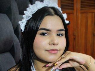 Webcam Snapshot for vlisper