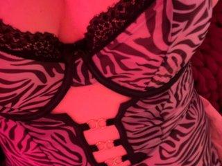 Webcam Snapshot for TemptingZebra