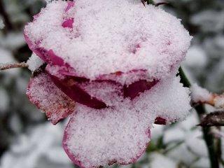 Webcam Snapshot for NaVi111