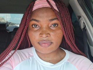 Webcam Snapshot for Prettydel