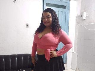 Webcam Snapshot for LaraSeduce