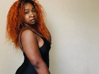 Webcam Snapshot for ZuriHush